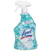 Lysol All Purpose Cleaner - Coconut & Sea Minerals 9/32 oz. Item issue