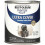 Rust-Oleum Rust-Oleum 1986502 Painter's Touch Latexfarbe, Glänzend Dunkelgrau, 1 Quart (Packung von 1) 1