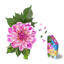 Madd Capp: I Am Dahlia - 350 Piece Jigsaw Puzzle - 8001 - Ages 10+ Unique Floral-Shaped Border Challenging Random Cut Includes Educational Madd