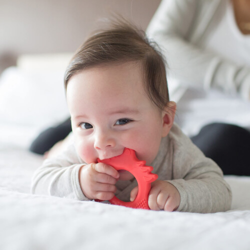 Dr. Browns Flexees Friends Orange Fox Soft 100% Silicone Baby Teether BPA gratis 3M 2