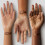 Black Radiance Perspoeder, Crème Beige #8604A 4