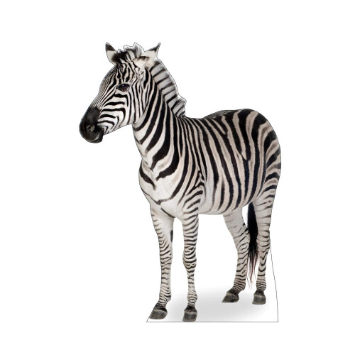 Kartonnen mensen Zebra levensgrote kartonnen uitsnede Standup