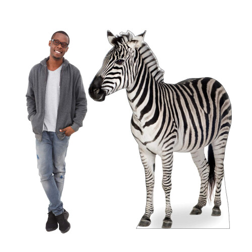 Kartonnen mensen Zebra levensgrote kartonnen uitsnede Standup 2