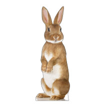 Kartonnen mensen Bunny Rabbit levensgrote kartonnen uitsnede Standup