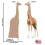 Kartonnen mensen Giraffe levensgrote kartonnen uitsnede Standup 2