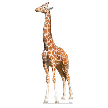 Kartonnen mensen Giraffe levensgrote kartonnen uitsnede Standup