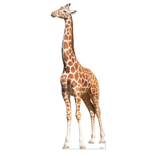 Kartonnen mensen Giraffe levensgrote kartonnen uitsnede Standup