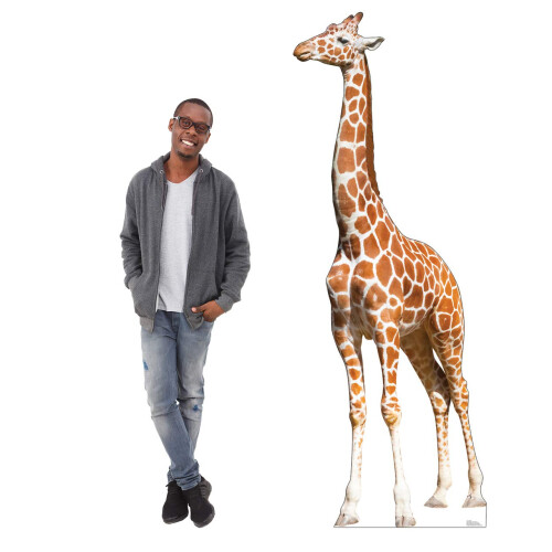 Kartonnen mensen Giraffe levensgrote kartonnen uitsnede Standup 2