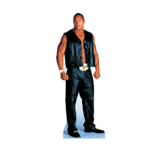 Cardboard People The Rock Levensgrote Kartonnen Snijder - WWE