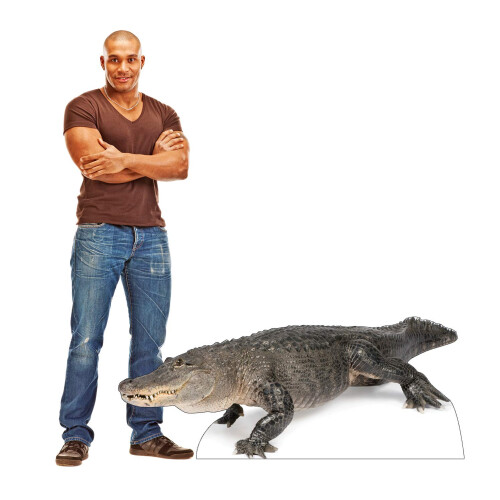 Kartonnen mensen Amerikaanse alligator levensgrote kartonnen uitsnede Standup 2
