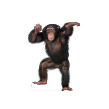 Kartonnen mensen jonge chimpansee levensgrote kartonnen uitsnede Standup