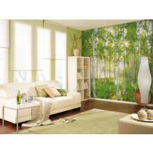 Brewster 8-519 Komar Wall Mural with Paste Sunday  12-Foot 1-Inch by 8-Foot 4-Inch   Green