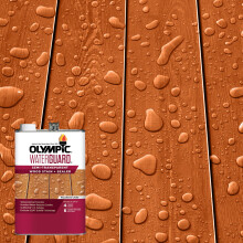 Olimpijski Waterguard 1 gal. Woodland Cedar plprzezroczystosc drewniana plama i uszczelniacz