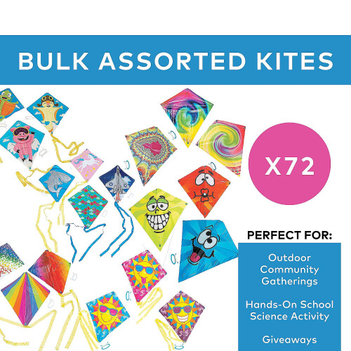 Fun Express Resourted Kites Bulk 72 PC 2