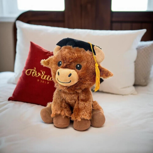 Fun Express Graduation Mortarboard Pimbo di Highland 1