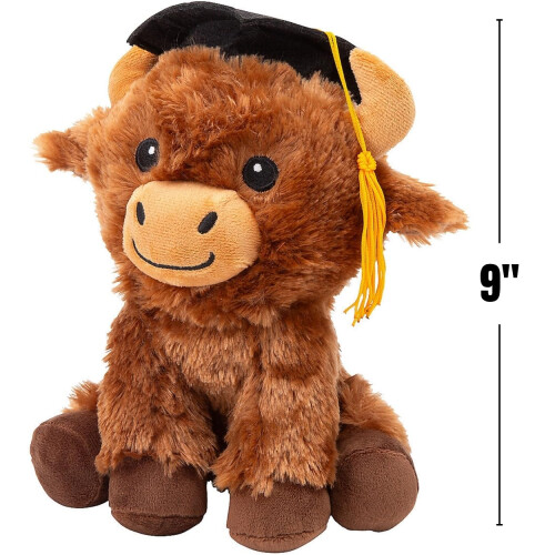 Fun Express Graduation Mortarboard Pimbo di Highland 2