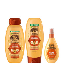 Garnier Whole Blends Honey Treasures Repairing Shampoo Conditioner + Miracle Nectar Leave-In Set for Dry Damaged Hair (3 Items) 1 Kit (Packagi