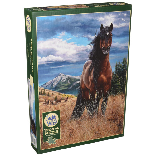 Cobblehill 80109 Puzzle Liberté 1000 pièces, Divers