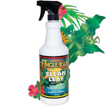 Jungle Rain Clean Leaf - Natuurlijke niet-giftige planten- en boomreiniger met sinaasappelolie en Castiliaanse zeep Gebruiksklare 32oz spray voor