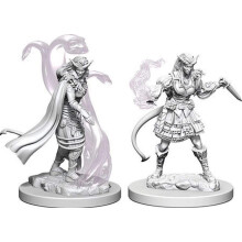 Le meravigliose miniature di D&D Nolzur: Stregone Tiefling femmina