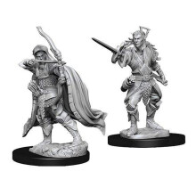 D&D Nolzur's vidunderlige miniaturer - Male Elf Rogue