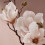 Thymes Counttop Spray - Magnolia Willow - 16,5 fl oz 2