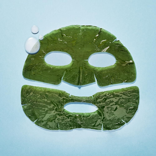 Whamisa Organic Kelp Mask Set (5ea) 1