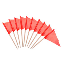 stidsds Solid Red Cupcake Toppers Flags Mini Small Plain Red Triangle Toothpick Stick Flag Blank DIY Color Decoration(100 pcs)