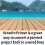 Wood'n Primer (32 oz (Quart), 99 Primer) 2