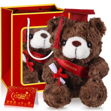 ZJoey Bär mit Abschlussmütze Spielzeug Klasse von 2025 Plüsch Teddy Bär Tier mit Grußkarte und Tasche