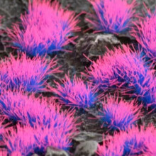 Gamers Grass - Alien Neon 4mm