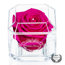 Eternal Petals A 100% Real Rose That Lasts A Year - The Perfect Unique Gift for Women and Men an A Birthday Gift - White Gold Solo with Swarovs