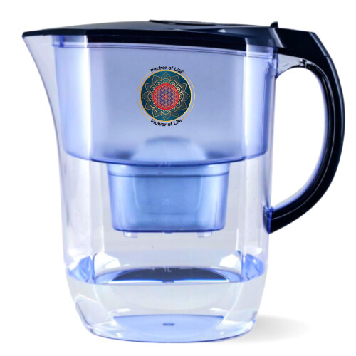 Pitcher de vie de la vie de 3,8 L