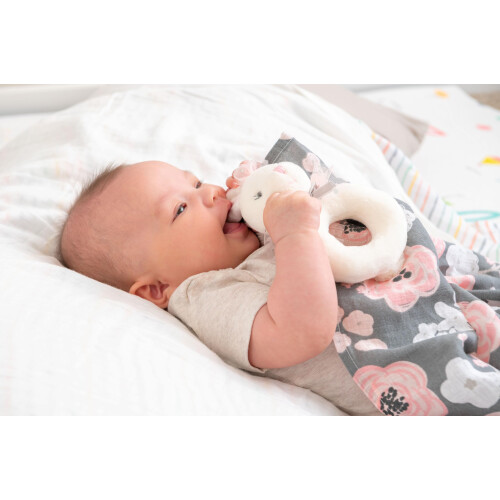 Stephen Joseph Ring Rattle, Hase 2