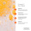 Vitamin C + Ferulasäure Reiniger 5