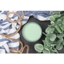 Dixie Belle Paint Company Chalk Finish Furniture Paint | Mint Julep (4oz) | Matt Mint Green Chic Chalk Mineral Paint | DIY mbler frg