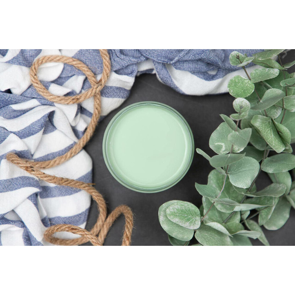 Dixie Belle Paint Company Chalk Finish Furniture Paint | Mint Julep (4Oz) | Matte Mint Green Chic Chalk Mineral Paint | Diy Furniture Paint 815146029323