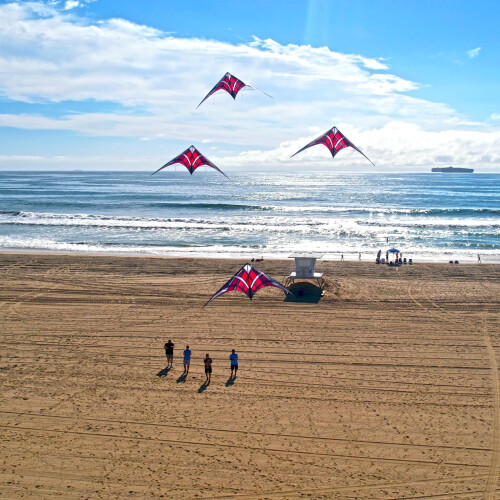 Windnsun NK93 72452 Lila Nylon Dual Control Kite 2