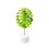 SPEELBARE KUNST Lollipopter (groene appel) 2