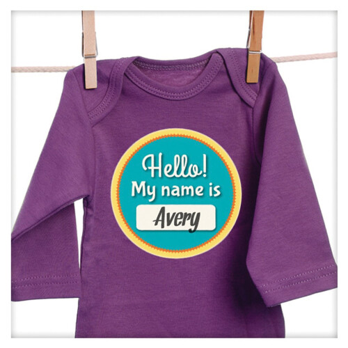 Adesivos do ms do beb Sticky Bellies - Milestone Momentos 2