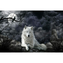 WACYDSD Puzzle 1000 Teile Krhe und weier Wolf Erwachsenenpuzzle Kinderpuzzle Holzpuzzle Spielzeug DIY Kit Heimdekoration 75x50cm