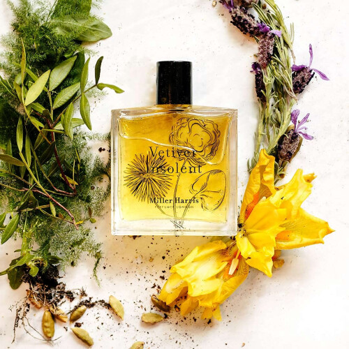 Vetiver Insolent 50ml 1,7oz 2