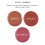 Daniel Sandler WATERCOLOR LIQUID BLUSH SPICEY - Frmula leve construvel e resistente  gua para bochechas e lbios 4