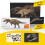 PNSO Prehistoric Dinosaur Models (74 Edward The Megalosaurus) 3
