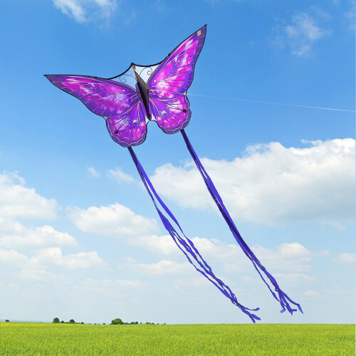 Mint's Colorful Life Butterfly Aquil 1