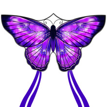 Mint's Colorful Life Butterfly Aquil