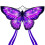 Mint's Colorful Life Butterfly Aquil 1