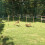 PawHut PawHut Dog Agility Weave Poles Training Obstacle Course Set with Whistle 9