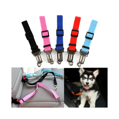 CEINTURE DE SEAUTRE ARRESSE RÉGLABLE ANTÉRIEUR 2