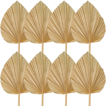 8PCS Dried Palm Leaves Decorations Trimmed Dried Palm Spear Palm Fans